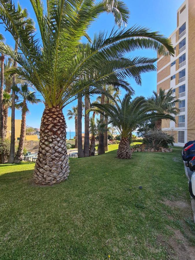 Room In Apartment - 1St Line Top Floor Apartment Carrer del Mar Εξωτερικό φωτογραφία